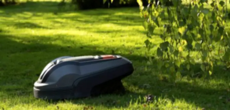 Stiftung Warentest: Gute Mähroboter müssen nicht teuer sein