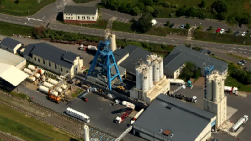 Stork steigt bei Bergwerk Glückauf in Sondershausen ein
