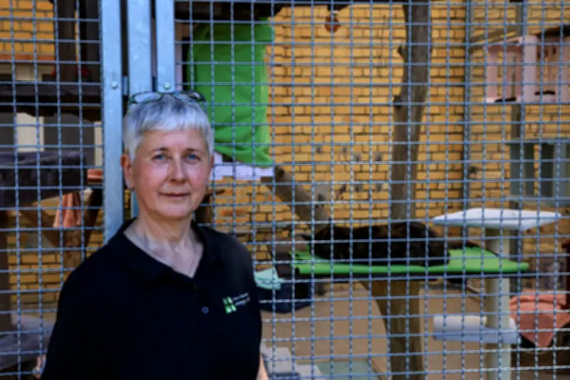 Tierheim Wittenberg: Appell an Tierfreunde beim Tag der offenen Tür