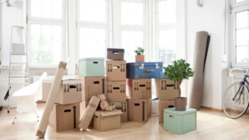 Vormieter-Geruch loswerden: So wird die Wohnung wieder frisch