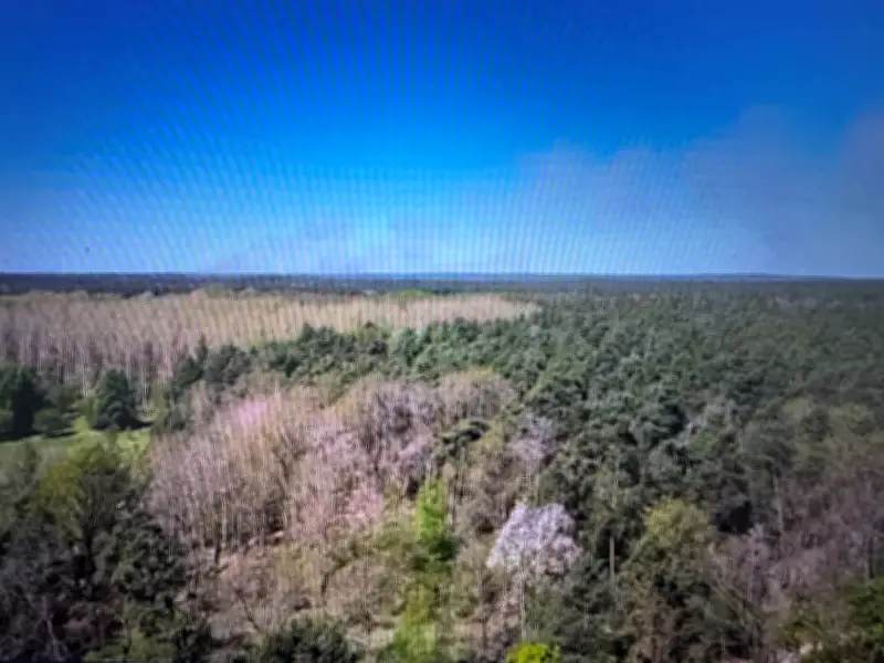 Waldbrand auf Altlast bei Jüterbog weitet sich auf 26 Hektar aus