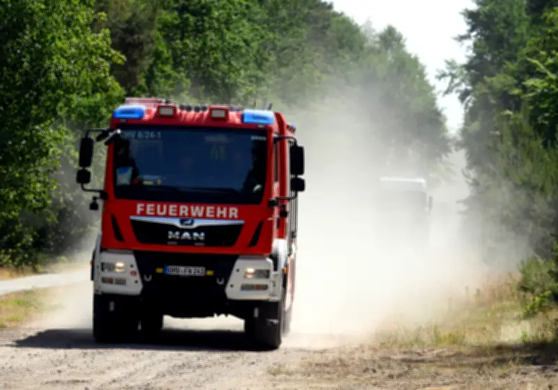 Waldbrand auf ehemaligem Truppenübungsplatz bei Jüterbog