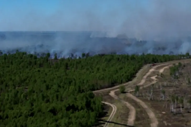 Waldbrand bei Jüterbog breitet sich weiter aus – Feuerwehr durch Kampfmittel behindert
