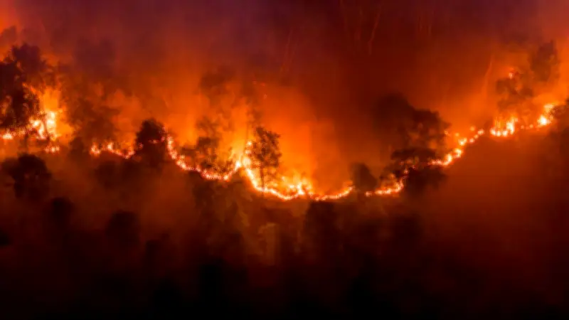 Waldbrand bei Jüterbog: Feuer auf 26 Hektar ausgeweitet