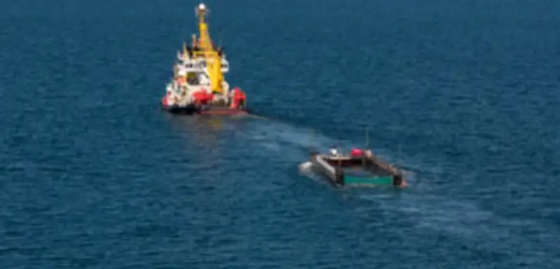 Waltransport vor Nordsee: Schiff dreht wegen Sturm ab