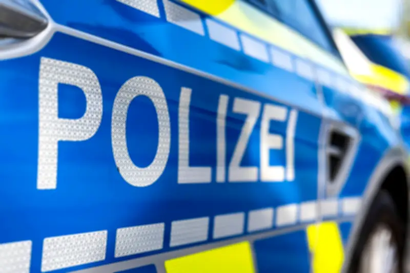Weimarer Bürger retten Entenfamilie mit Kartons vor dem Verkehr