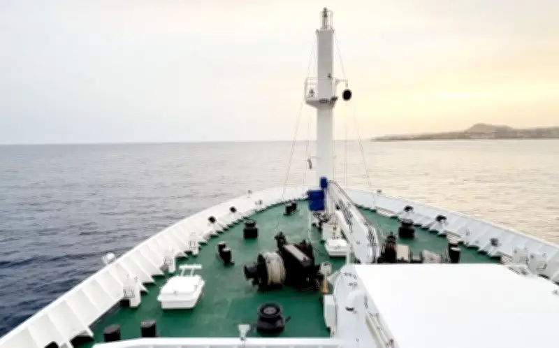 WHO: Hantavirus auf Kreuzfahrtschiff von Mensch zu Mensch übertragen