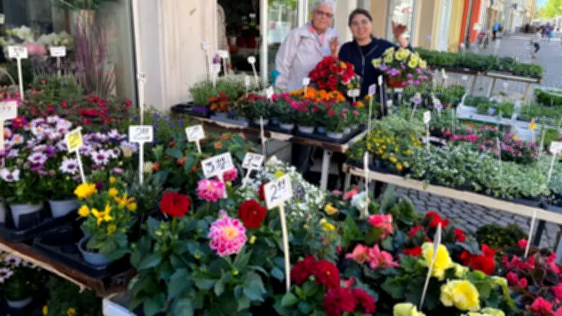Zeitzer Blumenlädchen: 10 Jahre Erfolg in der Innenstadt