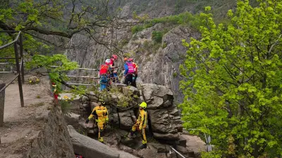 81-Jähriger stürzt von Aussichtsplattform: Baum fängt ihn auf