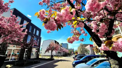 April in Neubrandenburg: Deutlich sonniger als üblich