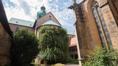 Der tausendjährige Rosenstock von Hildesheim: Ein Symbol der Hoffnung