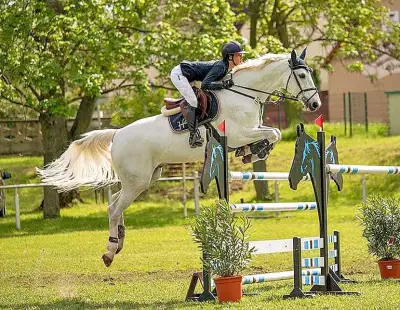 Greppiner Derby 2026: Reitsport, Party und Familienprogramm vom 30. April bis 3. Mai