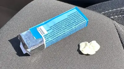 Kaugummi aus Autositz entfernen: Diese Hausmittel helfen
