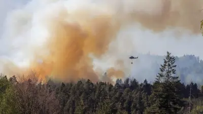 Mega-Waldbrand nahe deutscher Grenze: Inferno in Böhmischer Schweiz