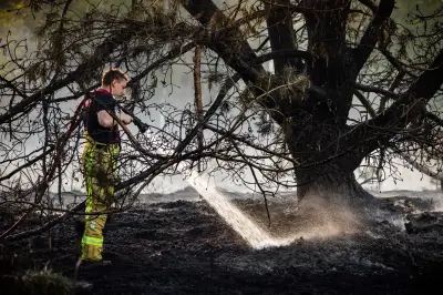 Niederlande: Großbrände auf Übungsgeländen – Deutsche Feuerwehr hilft