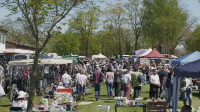 Pferde, Pflanzen, voller Markttag: Großer Trubel in Blüthen