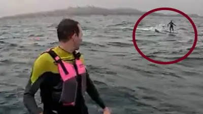 Schockmoment vor Kalifornien: Hai jagt Surfer zehn Minuten lang
