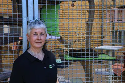 Tierheim Wittenberg: Appell der Leiterin trotz großer Resonanz