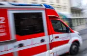 82-Jährige stirbt bei Baumunfall in Nordwestmecklenburg