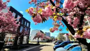 April in Neubrandenburg: Deutlich sonniger als üblich