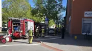 Brand in Pasewalker Mehrfamilienhaus: Bewohner evakuiert, Katze gerettet