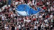Buckelwal Timmy sorgt für Aufsehen bei Bundesliga-Spiel