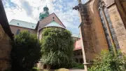 Der tausendjährige Rosenstock von Hildesheim: Ein Symbol der Hoffnung