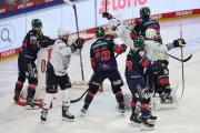 Eisbären Berlin: Titel-Rückschlag motiviert für fünftes Finale