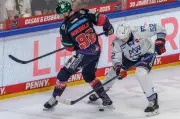 Eishockey-DEL-Finale: Adler Mannheim gegen Eisbären Berlin