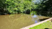 Erneut Leiche in der Erft bei Grevenbroich entdeckt