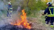 Feuerwehr Aschersleben: Drei Flächenbrände an Froser Straße