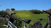 Frühlingsradeln zur geheimen Schlüsselblumenwiese in Mankmoos