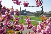 Frühsommer im Mai: 30 Grad in Sachsen am Wochenende?