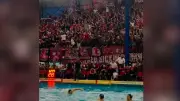 Fußball-Fans wechseln ins Wasser: Stimmung beim Wasserball