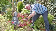 Gartenparadies im Burgenlandkreis: Vom Rübenacker zum Bonsai-Traum