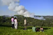 Großbrand in Böhmischer Schweiz: 500 Feuerwehrleute im Einsatz