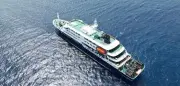 Hantavirus auf Kreuzfahrtschiff: WHO vermutet Mensch-zu-Mensch-Übertragung