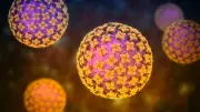 Hantavirus: Symptome, Übertragung und Gefahren – was Sie wissen müssen