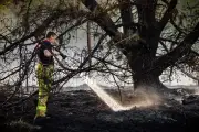 Niederlande: Großbrände auf Militärgeländen – Deutsche Feuerwehr hilft
