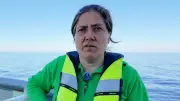 Tierärztin erklärt: So wird Wal Timmy sicher freigelassen