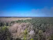 Waldbrand auf Altlast bei Jüterbog weitet sich auf 26 Hektar aus