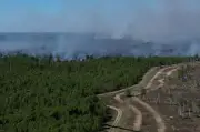 Waldbrand bei Jüterbog breitet sich weiter aus – Feuerwehr durch Kampfmittel behindert