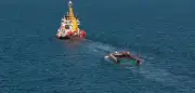Waltransport vor Nordsee: Schiff dreht wegen Sturm ab