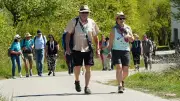 Weinspaziergang Rehehausen: Warum Wanderer Gebühr zahlen