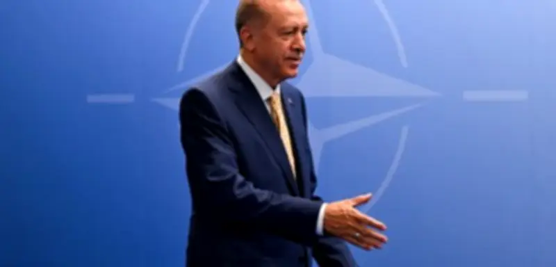 178 Inhaftierte vor Nato-Gipfel in Ankara: Kritik an Türkei