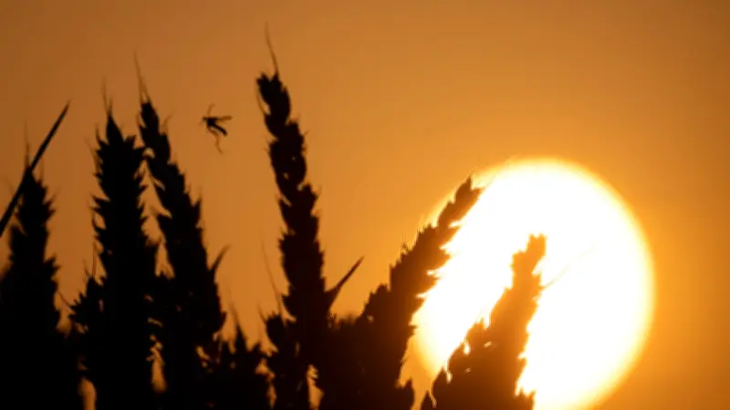 44 Grad in Deutschland: Meteorologe warnt vor Notlage und fordert Bundeswehr
