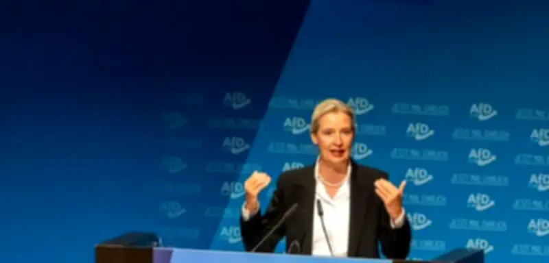 AfD-Insider rechnen ab: „Säuberungsaktionen wie im Totalitarismus“