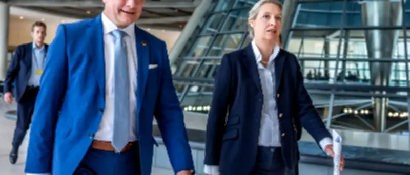 AfD legt Berufung gegen Urteil zu Parteispende ein