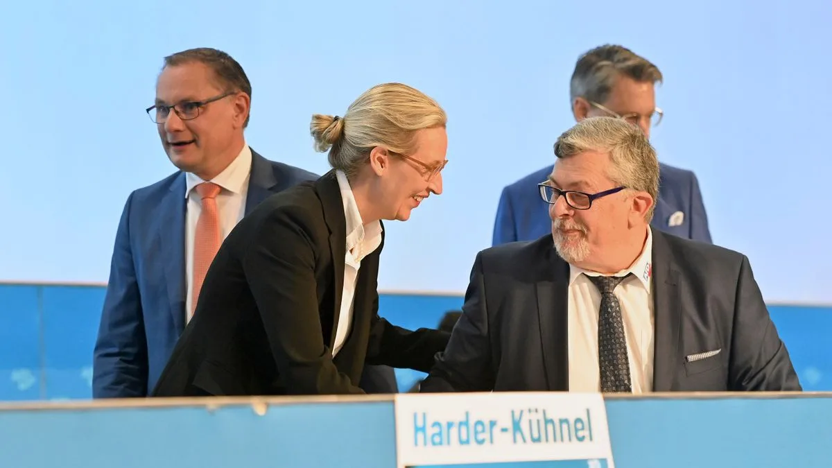 Gericht erklärt millionenschwere AfD-Spende aus Österreich für illegal