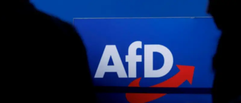 AfD-Verbotsverfahren: Über 1,3 Millionen unterstützen Petition